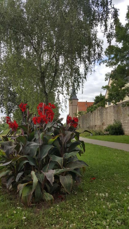 Direkt Am Main Villa Карлщат Екстериор снимка